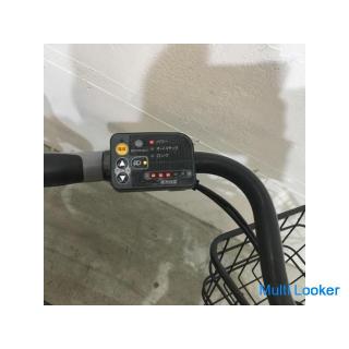 【FREE SHIPPING】 Electric Bicycle Small Wheel Bike Panasonic Glitter Metallic Gray 20 inch