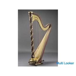 ★ Ideal for home time ★ Harp individual lesson online available