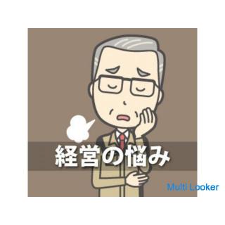 We provide consulting services for small companies and small businesses.