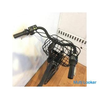 Electric bicycle for children BRIDGESTONE Bike 2 Dark gray 20 inch 8AH For 3 people With exclusive u