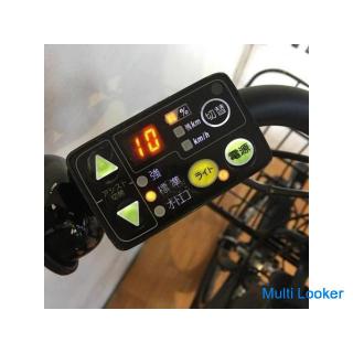 Electric bicycle for children BRIDGESTONE Bike 2 Dark gray 20 inch 8AH For 3 people With exclusive u