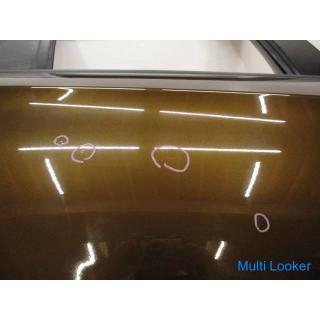 BMW X1 VL18 E84 right rear door