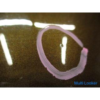 BMW X1 VL18 E84 right rear door