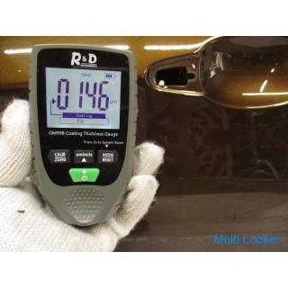 BMW X1 VL18 E84 front left door