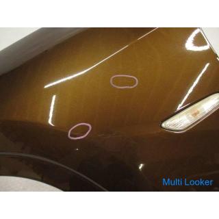 BMW X1 VL18 E84 left fender