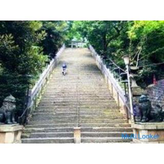 34-55 years old Tokyo walk ♪ ~ 1 person participation ~ [Shibakoen]