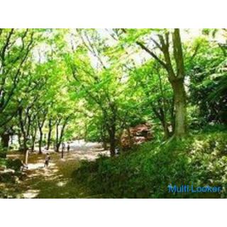 34-55 years old Tokyo walk ♪ ~ 1 person participation ~ [Shibakoen]