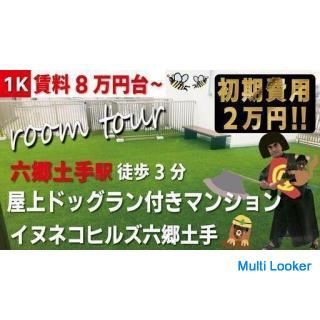 I want you to let the multi-headed owner know [Free rent 2 months, initial cost 20,000 yen] Pet symb