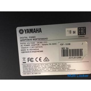 i406 YAMAHA YDP-163B 2018 Yamaha Electronic Pier