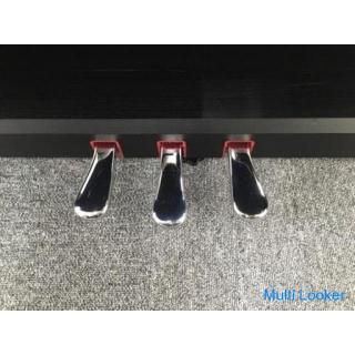 i406 YAMAHA YDP-163B 2018 Yamaha Electronic Pier