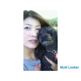 i am looking for a nice friend.