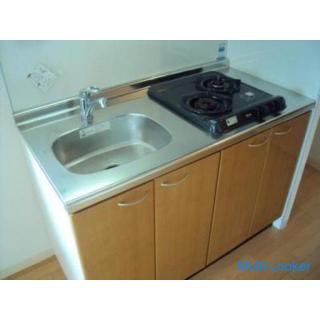 [Newly built] [No floor / courtesy] [Rare pets allowed] [Low initial cost] [No renewal fee]