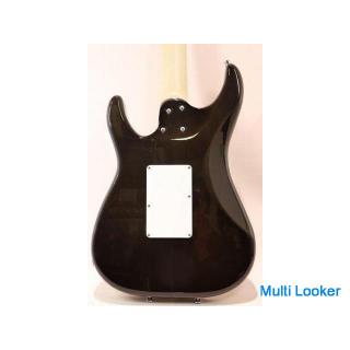 SCHECTER SD-2-24 Electric Guitar HSH / Ash Material / 24 Frets With Genuine Gig Bag