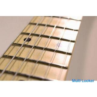 SCHECTER SD-2-24 Electric Guitar HSH / Ash Material / 24 Frets With Genuine Gig Bag