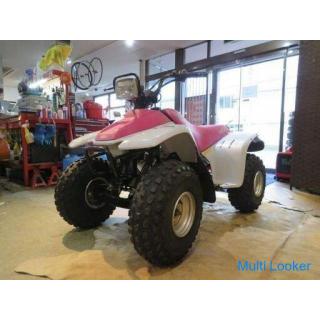 Beautiful car! Rare! YAMAHA YF80M BADGER 4EM 80cc 1993 Purple Two Tone Production! Competition Car B