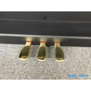 i457 CASIO GP-1000 2021 electronic piano