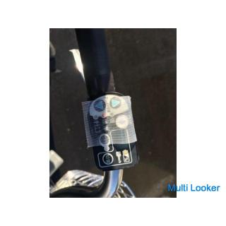 YAMAHA electric bicycle with PAS Raffini battery