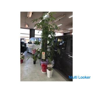 Hourly wage ¥ 900‼ ️ About 6 hours a day! ️Rent-a-car telephone compatible rental business