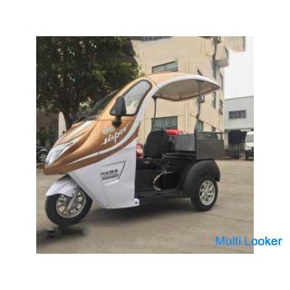 Delivery by electric delivery bike