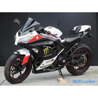 Rare Kawasaki Ninja 300 Akrapovič muffler