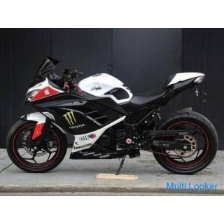 Rare Kawasaki Ninja 300 Akrapovič muffler