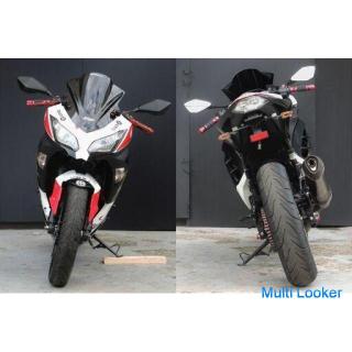 Rare Kawasaki Ninja 300 Akrapovič muffler