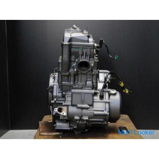 KTM 250 DUKE genuine RC 250 engine