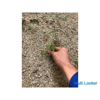 I will mow the grass. Chita Peninsula Handyman / Osoujiya Heartfull
