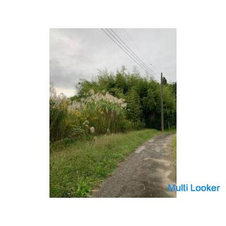 Landscape for sale in the rural