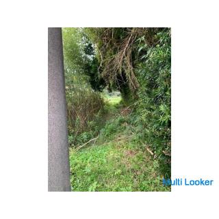 Landscape for sale in the rural