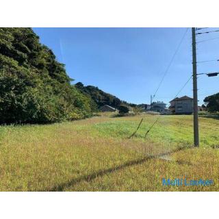 823㎡ Mountain view How about a home with a dog run?