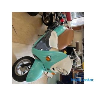 Yamaha Vino 50‼ ️Spring early reservation campaign in progress! ️Cute‼ ️ 4st scooter