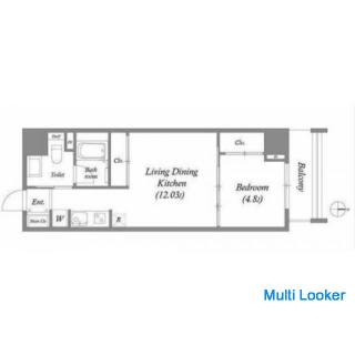 No key money is required! Luxury room! It's like a hotel!