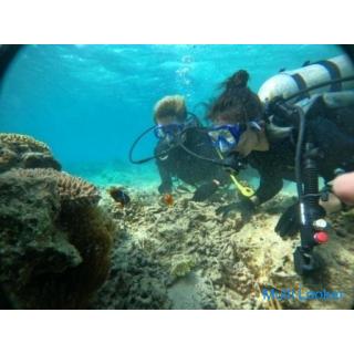 [You can do it from 10 years old! ] Experience diving!
