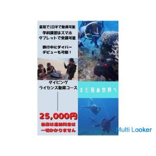 Diving C card (open water diver) acquisition course