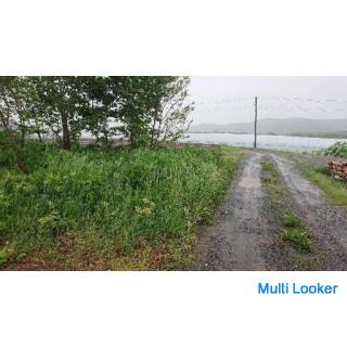 Mowing, processing garden trees, removing gardens