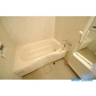 [Yotsubashi Station] Sunny south facing / auto lock, with highly crime-preventive dimple keys