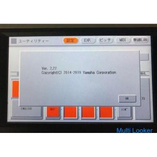 Yamaha Electone ELS-02 Used 2017