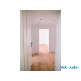 Freshly renovated and ready to move in: Bright 2-ZW with balcony in the south-west