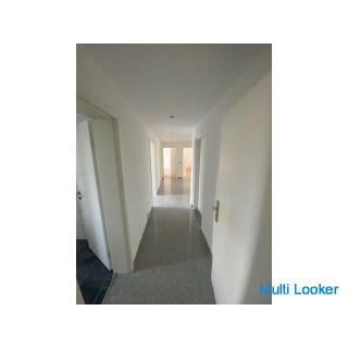 1 room in a 5 room apartment for rent as a shared flat