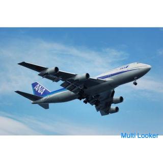 飛行機を使って当日配達。スカイキックという技。