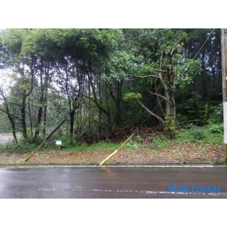 鹿児島県霧島市霧島田口【売地】温泉付き別荘地142坪285万円