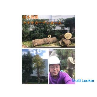 林 畑 竹林等の伐採抜根致します(所沢市 さいたま市川越市飯能市朝霞市〜)ろ