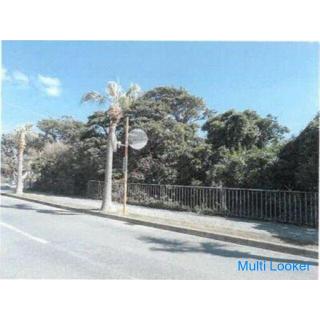 三宅島三宅村坪田土地 579 m2