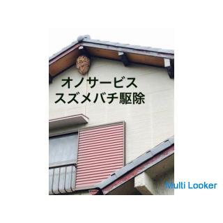 害虫害獣の駆除、捕獲いたします24時間対応‼️