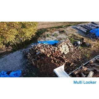 薪 家庭用 キャンプ用 焚き火用